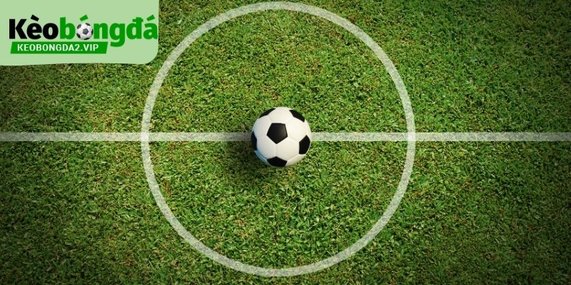 0.5/1 Kèo Bóng Đá Và Cách Đọc Mốc Chấp Trung Gian 2026 2 0.5/1 kèo bóng đá phản ánh sự thận trọng trong đánh giá chênh lệch.