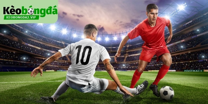 Các Vị Trí Trong Bóng Đá Và Vai Trò Chiến Thuật Trên Sân 1 cac-vi-tri-trong-bong-da