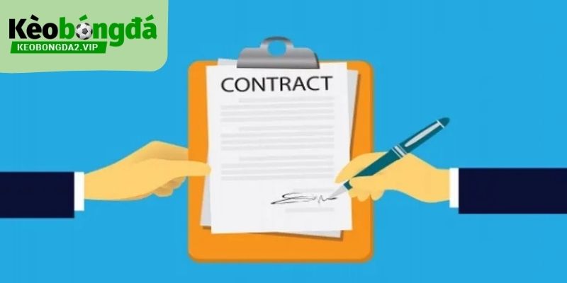 điều kiện điều khoản 3 Người dùng nắm rõ lưu ý quan trọng để tránh vi phạm điều kiện điều khoản