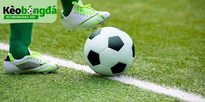 Kèo Chấp 2-1/4 Và Cách Đọc Chênh Lệch Lớn Trong Trận Đấu 2 Kèo chấp 2-1/4 đại diện cho chênh lệch lớn và áp lực duy trì thế trận.