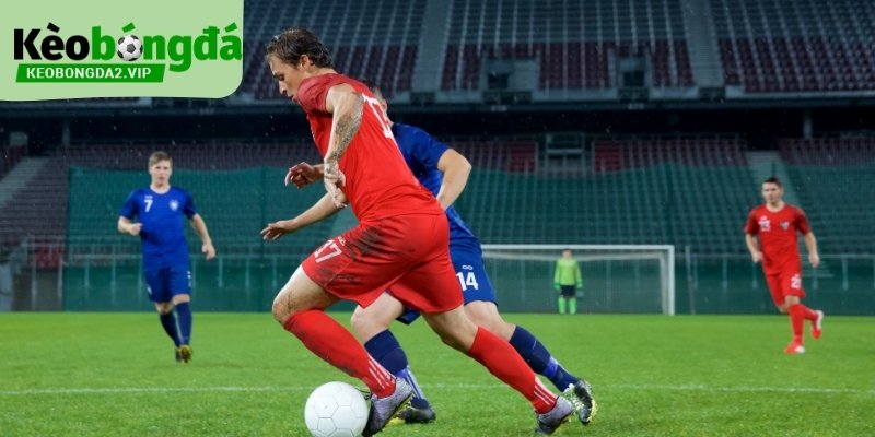 Kinh Nghiệm Cược Bóng Đá Dựa Trên Dữ Liệu Và Nhịp Trận 4 Kinh nghiệm cược bóng đá đọc dữ liệu giúp đọc trận có chiều sâu