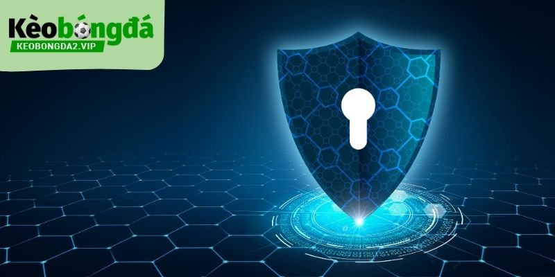 miễn trừ trách nhiệm 3 Miễn trừ trách nhiệm xác định rõ phạm vi bảo vệ và quyền lợi của người dùng