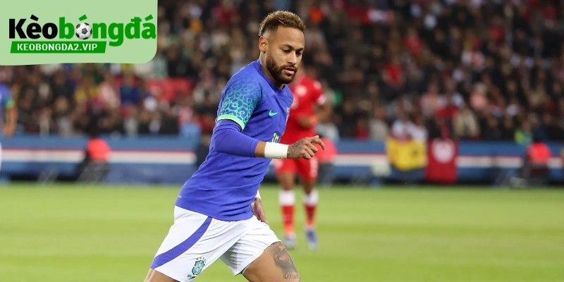 Tiểu Sử Neymar: Hành Trình Vươn Tầm Ngôi Sao Bóng Đá 1 tieu-su-neymar