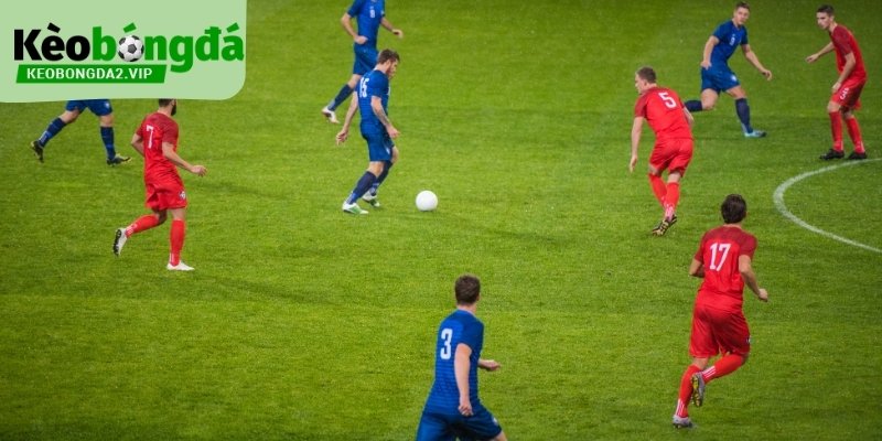 Tỷ Lệ Tài Xỉu Bóng Đá Và Cách Hiểu Nhịp Ghi Bàn Của Trận Đấu 3 Chiến thuật quyết định nhịp bàn thắng.