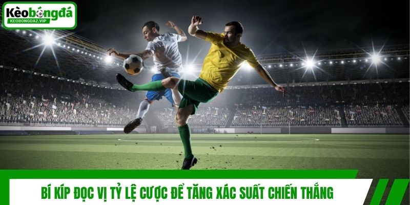 Tỷ Lệ Cược Là Gì - Cẩm Nang Đọc Odd Và Soi Kèo Thắng 99% 4 Bí kíp đọc vị tỷ lệ cược để tăng xác suất chiến thắng