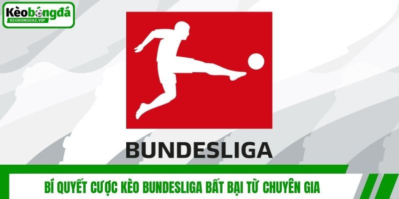 Bí Quyết Cược Kèo Bundesliga Bất Bại Từ Chuyên Gia 1 Bí Quyết Cược Kèo Bundesliga Bất Bại Từ Chuyên Gia