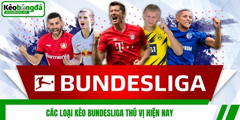 Bí Quyết Cược Kèo Bundesliga Bất Bại Từ Chuyên Gia 3 Các loại kèo Bundesliga thú vị hiện nay