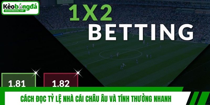 Tỷ Lệ Nhà Cái Châu Âu Là Gì? 3 Kinh Nghiệm Hay Từ Cao Thủ 3 Cách đọc tỷ lệ nhà cái châu Âu và tính thưởng nhanh