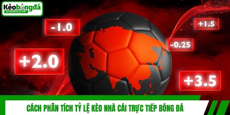 Tỷ Lệ Kèo Nhà Cái Trực Tiếp Bóng Đá Cập Nhật Chuẩn Nhất 4 Cách phân tích tỷ lệ kèo nhà cái trực tiếp bóng đá