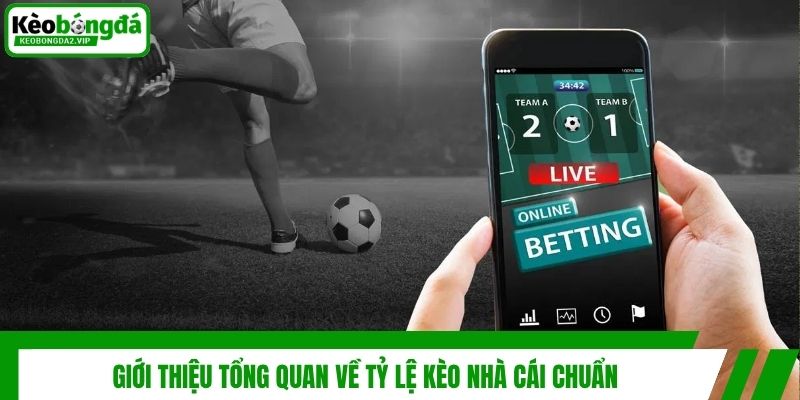 Tỷ Lệ Kèo Nhà Cái Chuẩn - Bí Quyết Đọc Vị Mọi Trận Đấu 2 Giới thiệu tổng quan về tỷ lệ kèo nhà cái chuẩn