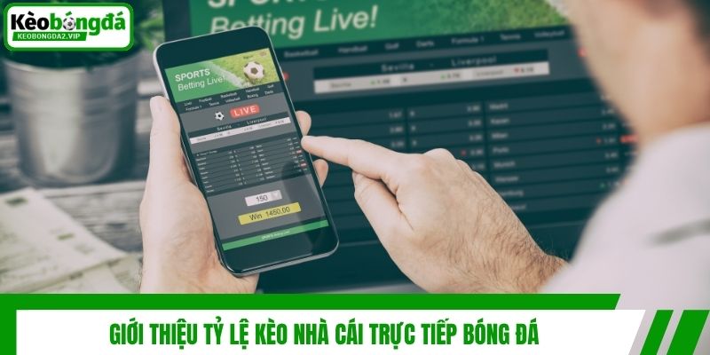 Tỷ Lệ Kèo Nhà Cái Trực Tiếp Bóng Đá Cập Nhật Chuẩn Nhất 2 Giới thiệu tỷ lệ kèo nhà cái trực tiếp bóng đá