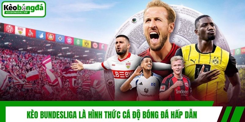 Bí Quyết Cược Kèo Bundesliga Bất Bại Từ Chuyên Gia 2 Kèo Bundesliga là hình thức cá độ bóng đá hấp dẫn
