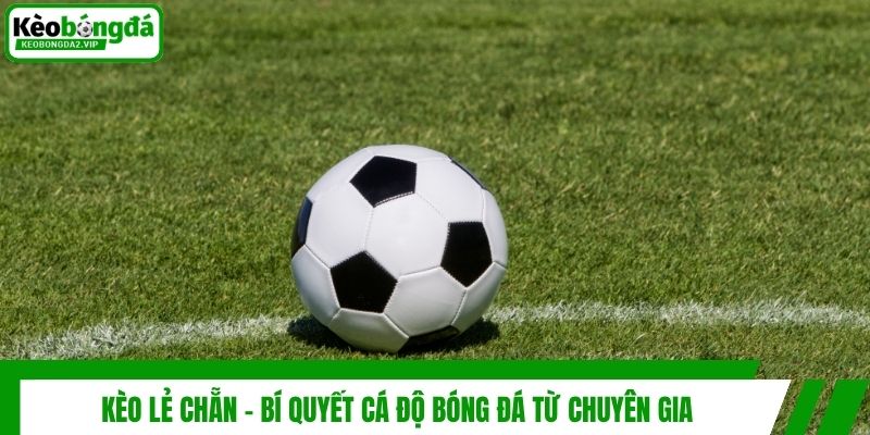 Kèo Lẻ Chẵn - Bí Quyết Cá Độ Bóng Đá Từ Chuyên Gia 1 Kèo Lẻ Chẵn - Bí Quyết Cá Độ Bóng Đá Từ Chuyên Gia