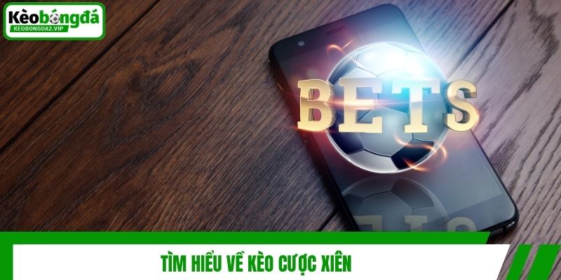 Kèo Cược Xiên - Cách Chơi & Bí Kíp Cá Độ Bóng Đá Bất Bại 2 Tìm hiểu về kèo cược xiên