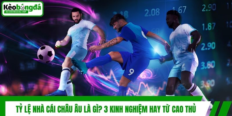 Tỷ Lệ Nhà Cái Châu Âu Là Gì? 3 Kinh Nghiệm Hay Từ Cao Thủ 1 Tỷ Lệ Nhà Cái Châu Âu Là Gì? 3 Kinh Nghiệm Hay Từ Cao Thủ