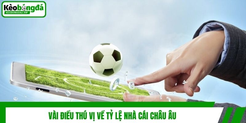 Tỷ Lệ Nhà Cái Châu Âu Là Gì? 3 Kinh Nghiệm Hay Từ Cao Thủ 2 Vài điều thú vị về tỷ lệ nhà cái châu Âu