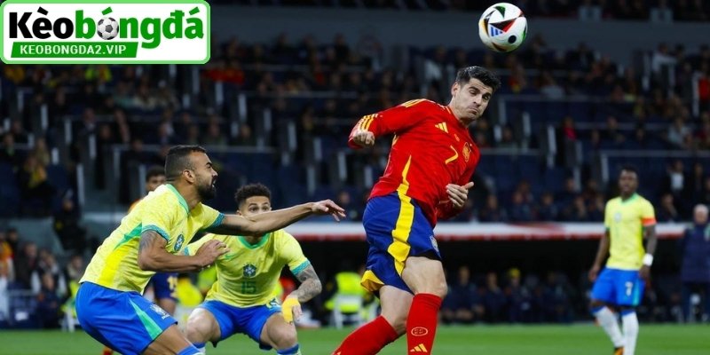 Kèo Chấp 1 1/4 (1.25) - Ý Nghĩa Và Khả Năng Tạo Cách Biệt 4 Nhận xét khả năng phòng ngự