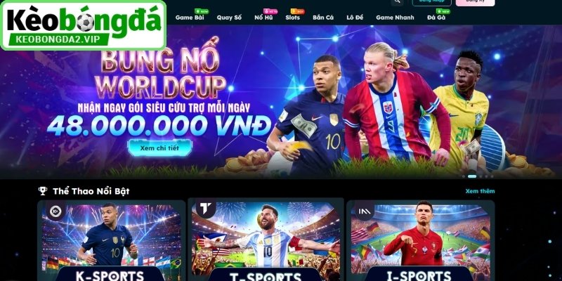 Say88 – Đánh Giá Chi Tiết Nhà Cái Cá Cược Uy Tín #1 2 Tổng quan nhà cái Say88