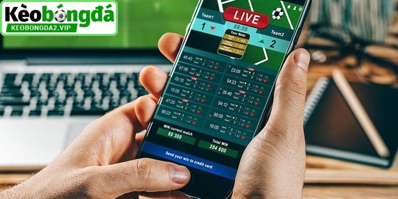 Tỷ Lệ Kèo Nhà Cái 5, Cập Nhật Dữ Liệu Bóng Đá Trực Tuyến 2 Tìm hiểu tỷ lệ kèo nhà cái 5